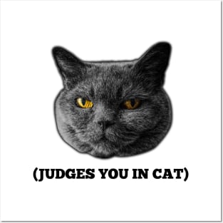 Judges You in Cat Posters and Art